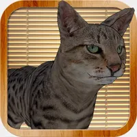 Kitty Cat Simulator: destroy all! icon