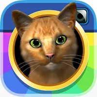 InstaKitty3D icon