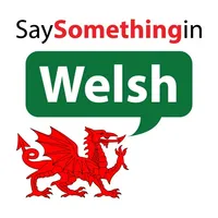 SaySomethinginWelsh icon