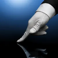 DA WhiteGlove icon