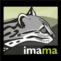 imama icon