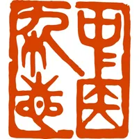 Handbuch Akupunktur (A Manual of Acupuncture) icon