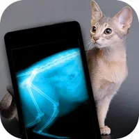 Simulator X-Ray Photo Cat icon