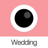 Analog Wedding icon