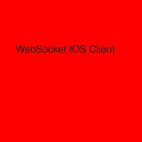 WebSocket Client icon