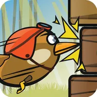 WoodPecker : Bird Dash icon