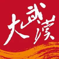 大武汉 icon