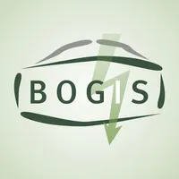 Bogis icon