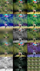 FILTIST - High Quality Filter Effects for Videos screenshot 3