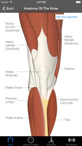 ACL Rehab screenshot 2