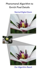 PrimeCam: True HDR, Super Resolution, Noise Reduction, Zoom & Low-light screenshot 4