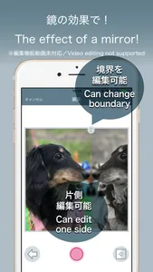 CaMirror - Flip Photo Mirror - screenshot 2