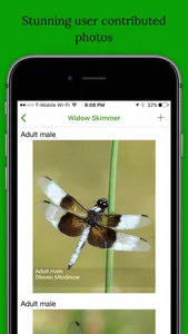 Dragonfly Damselfly ID App screenshot 1