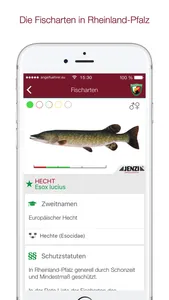 Angelführer Rheinland-Pfalz screenshot 4