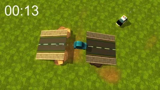 Survival Race screenshot 2