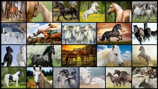 Mighty Horses - Real Horse Picture Puzzle Games for kids screenshot 0