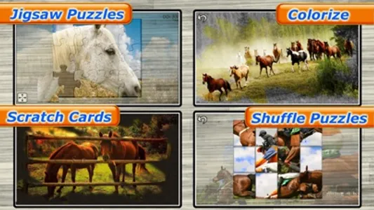 Mighty Horses - Real Horse Picture Puzzle Games for kids screenshot 1