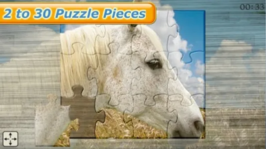 Mighty Horses - Real Horse Picture Puzzle Games for kids screenshot 3