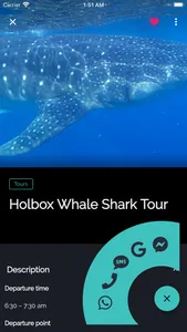 Holbox Guide screenshot 9