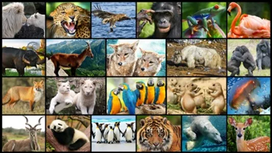 Amazing Wild Animals - Best Animal Picture Puzzle Games for kids screenshot 0