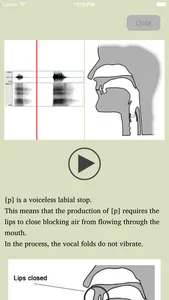 AV Phonetics screenshot 3