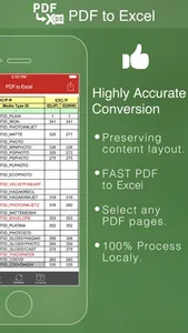 PDF to Excel screenshot 1