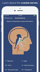 Dysphagia Therapy screenshot 5