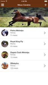 Meu Cavalo App screenshot 1