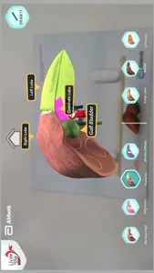 Liver Is Life screenshot 1