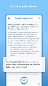 SoundHound Chat AI App screenshot 7