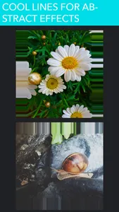 PicFit Square Size - No Crop Editor for Instagram screenshot 0