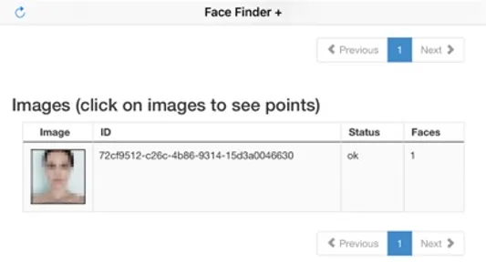Face Finder + screenshot 4