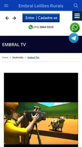 Embral Leilões screenshot 2