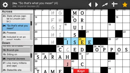 Devarai Crossword Pro screenshot 1