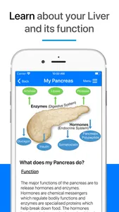 My Pancreas screenshot 1