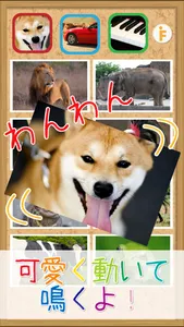 鳴き声タッチ-動物・乗り物・楽器の写真と音 screenshot 0