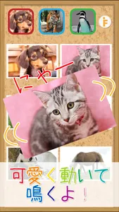 とびだす動物タッチ screenshot 0