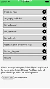 Guinea Pig Communicator screenshot 1