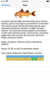 Balık Dünyası screenshot 4