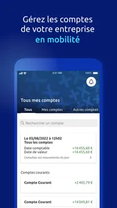 Banque Populaire PRO screenshot 0