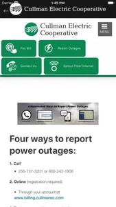 Cullman Electric Cooperative screenshot 3