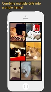 GIF Grid - Combine multiple GIFs into frames screenshot 0