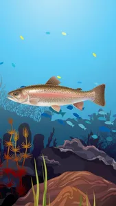 Marketable Fish Flashcards: English Vocabulary Learning Free For Toddlers & Kids! screenshot 2