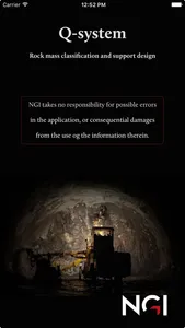 Q System screenshot 0