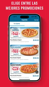 Domino's Pizza México screenshot 4