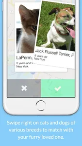 PetSwipe screenshot 1