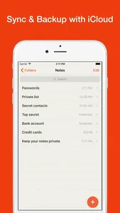 Lock Notes Pro screenshot 1