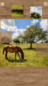 Horse Jigsaw Puzzles - Brain Training Games screenshot 3