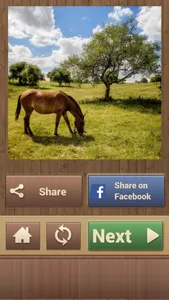 Horse Jigsaw Puzzles - Brain Training Games screenshot 4