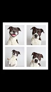 Simple Photo Booth - Best Real Camera Selfie Fun App with Collage Grid Frame screenshot 2